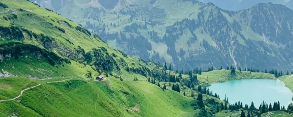 evertreen_Germany